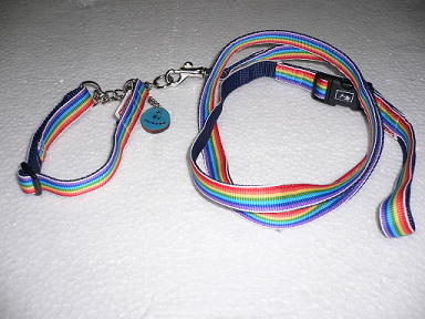 P1000711(1).jpg