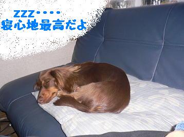P1000861(1).jpg