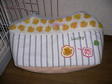 P1010104(1).jpg