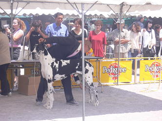 P1010563(1).jpg
