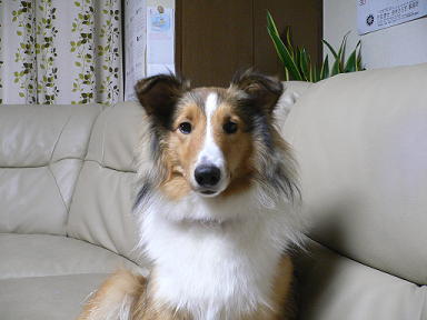 P1020007(1).jpg