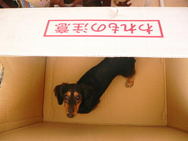 P1020074(1).jpg