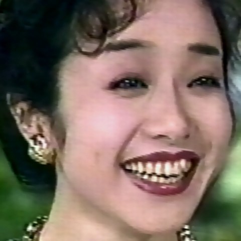 南美希子1994年（38歳）当時、目は相変わらず小さめの垂れ気味で、一重まぶたか、あるいは一重に見える奥二重だった。