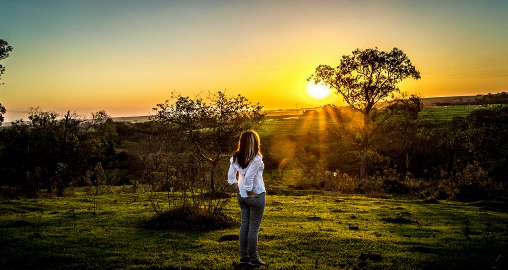 成功者 に対する画像結果