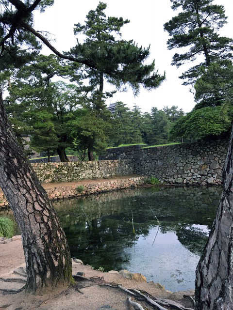 ランシンの「50の手習い」_10