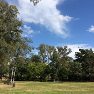 201708311938161b7.jpg