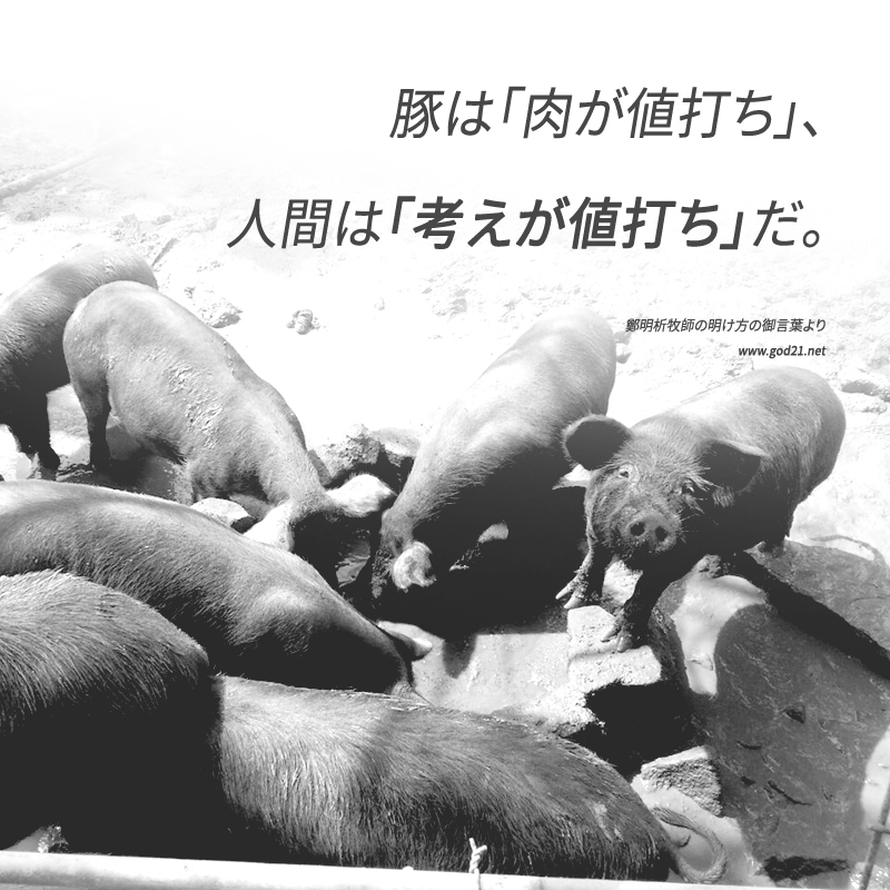 摂理