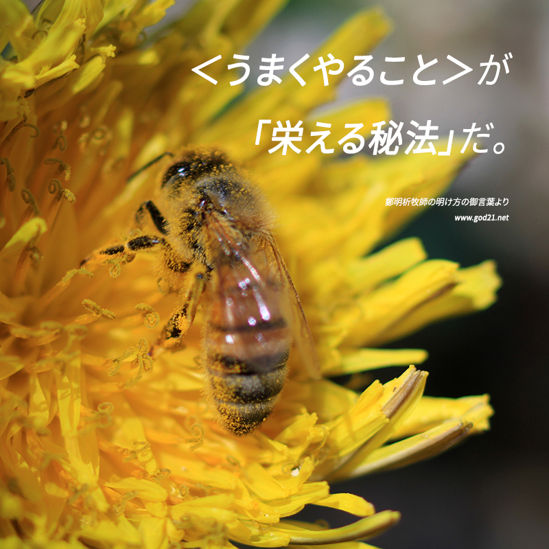 摂理