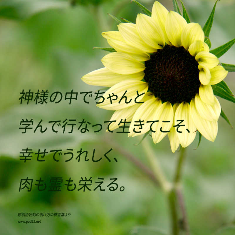 摂理
