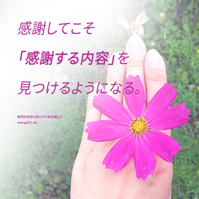 摂理