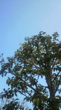 2012022208370000.jpg