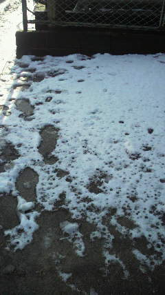 2012030108360000.jpg