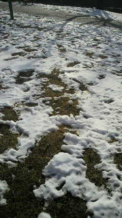 2012030108370000.jpg