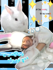 10032539463_s.png