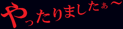 やったりました～