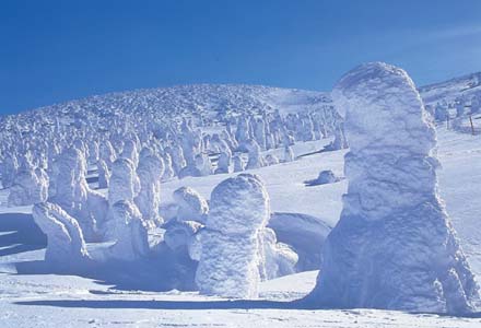 蔵王の樹氷