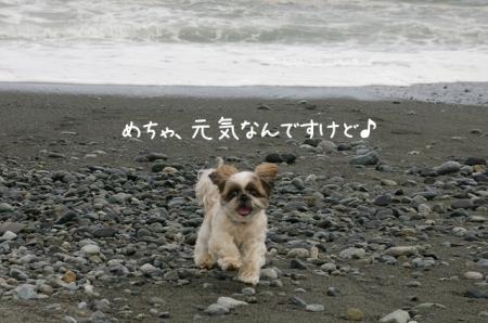 よーい、どん♪