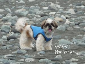 海、キラ～イ