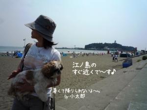 江ノ島も見えます