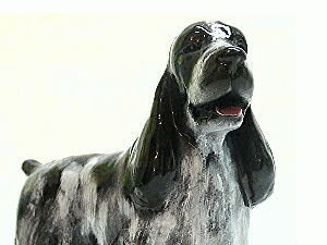 hfupBR.gif