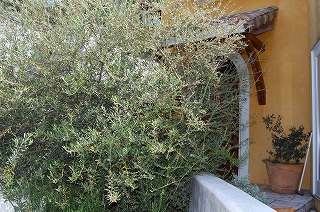 DSC_0018.jpg