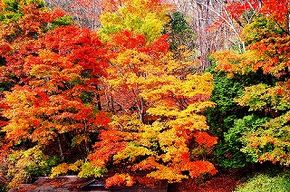 s-289331761_00331f5105.jpg