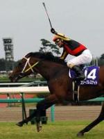 スリープレスナイトと上村洋行