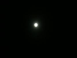 1113満月