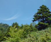 ８月の青空