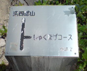 道案内