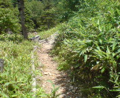 白根山への道