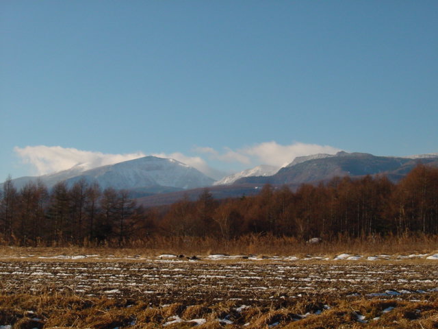 DSC00390.jpg