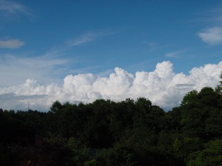DSC00501.jpg