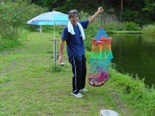 ハチクマ様(気になる穴?!を参照してね)