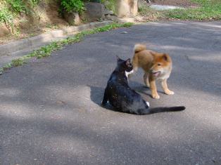 DSC00607.jpg
