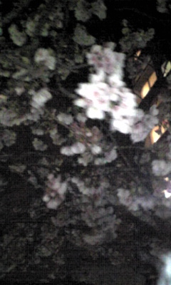 Image486.jpg
