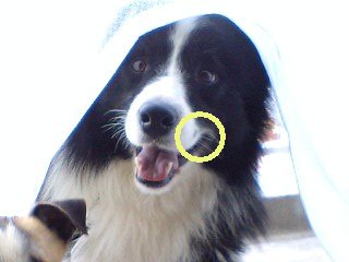 imgCAPIKZ40_20080626082935.jpg
