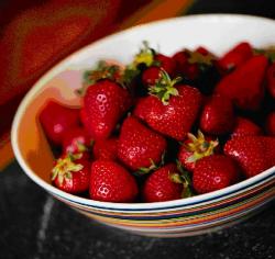 芦屋・東灘・甲南山手・岡本・深江・豊岡・整体カイロ