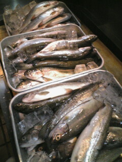 ニジマス、イリマス♪♪