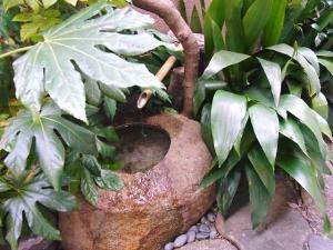 11-9-24 店つくばい