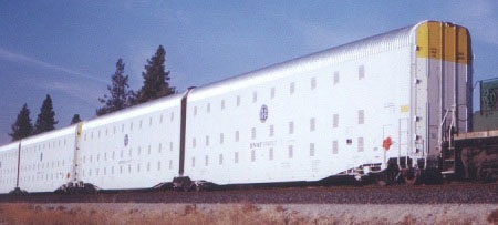 c0139575_23323367.jpg