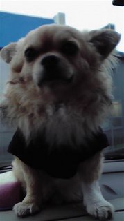20110317195131e10.jpg