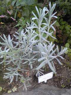 Image0131.jpg
