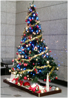 turi_20081216175035.jpg