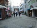 DSC01260.jpg