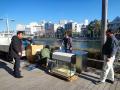 DSC01368.jpg