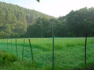 DSC00292.jpg