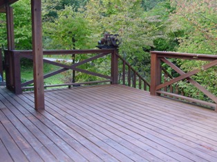 DSC00342.jpg