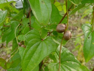 DSC00361.jpg