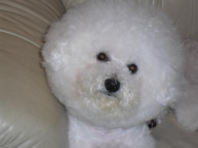 繝悶Ο繧ｰ+004_convert_20090819204940